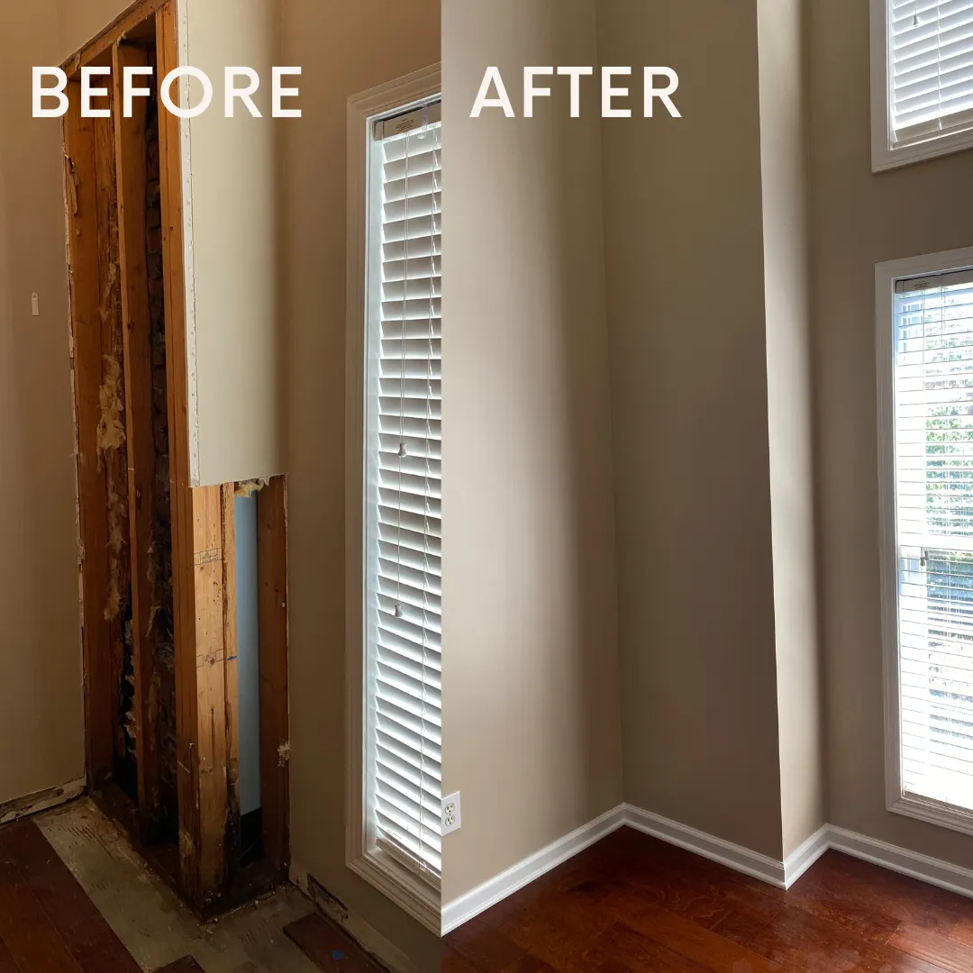 Rot repair project